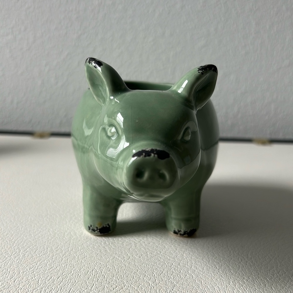 Ceramic Green Pic Spong Holder